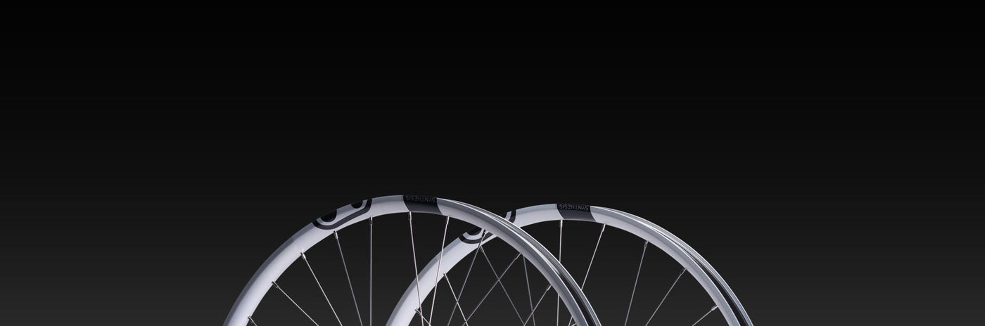 Synthesis Alloy 2.0 E-MTB Wheels