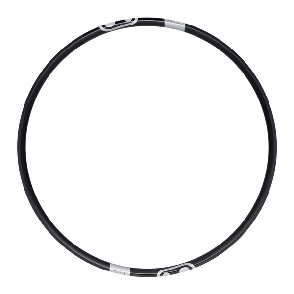 Synthesis Enduro Alloy 2.0 Rim