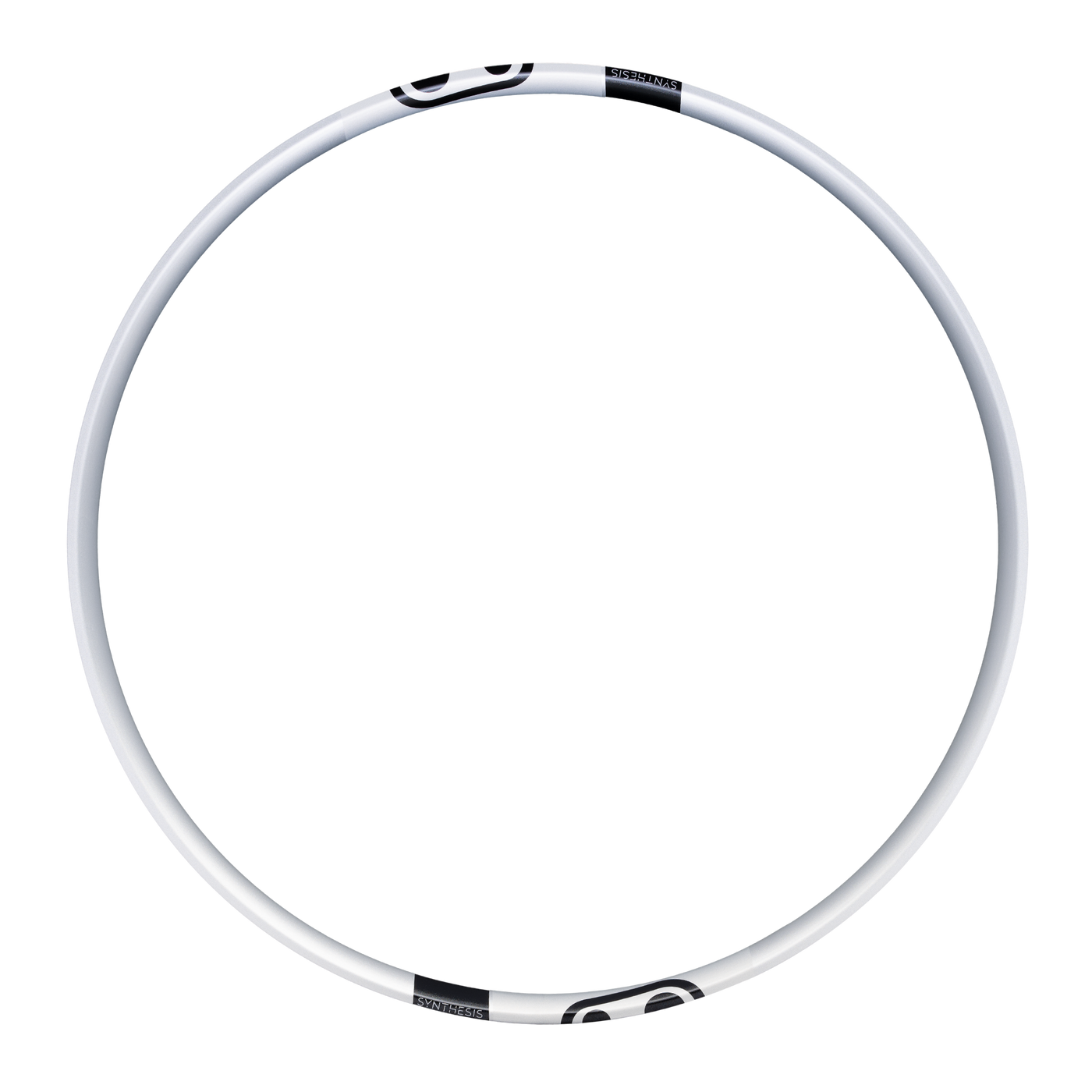 Synthesis Enduro Alloy 2.0 Rim