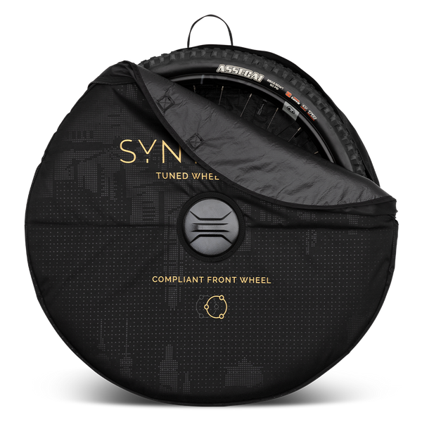 Synthesis Double Wheel Bag