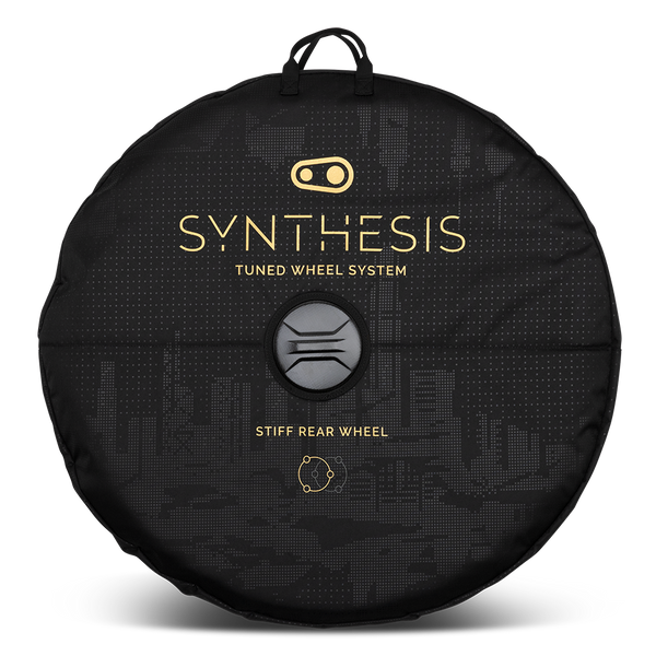 Synthesis Double Wheel Bag