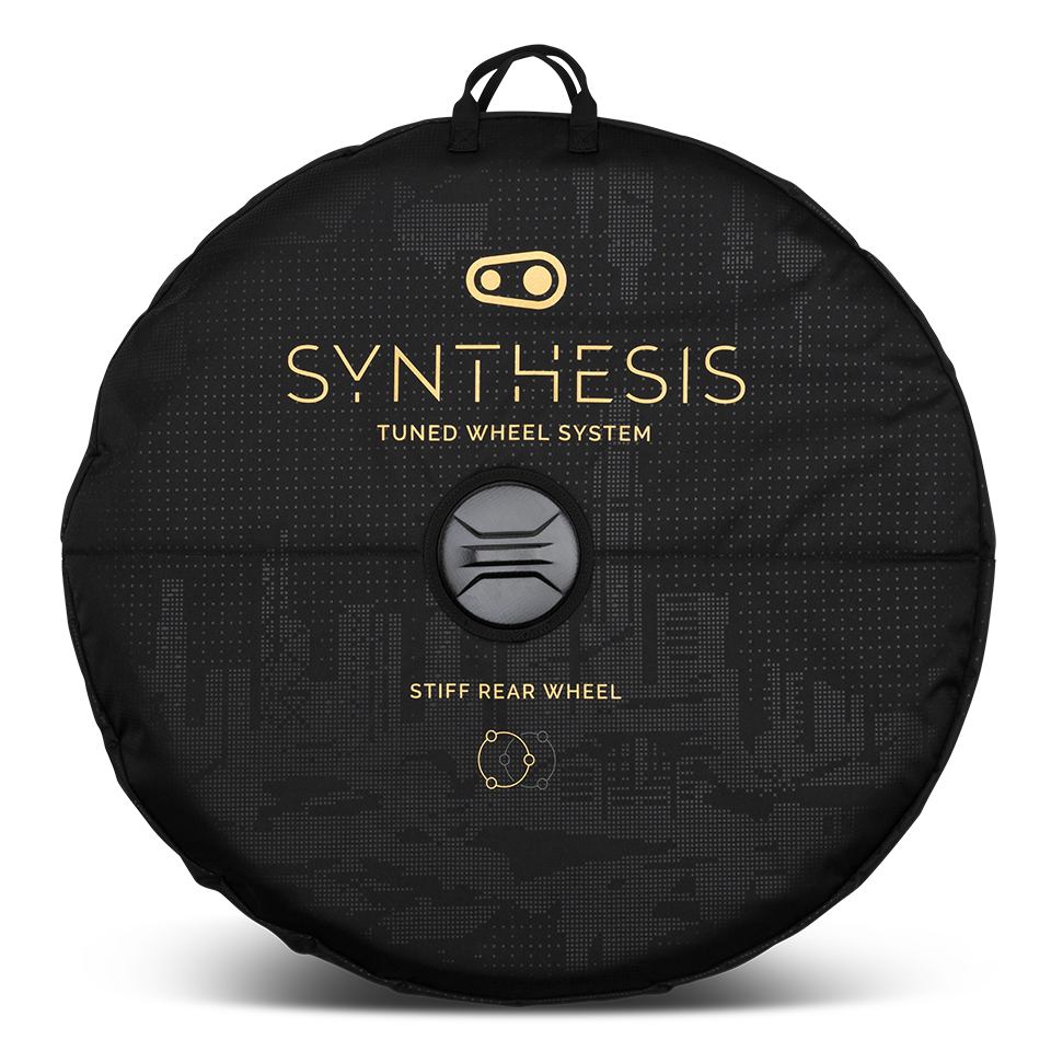 Synthesis Double Wheel Bag